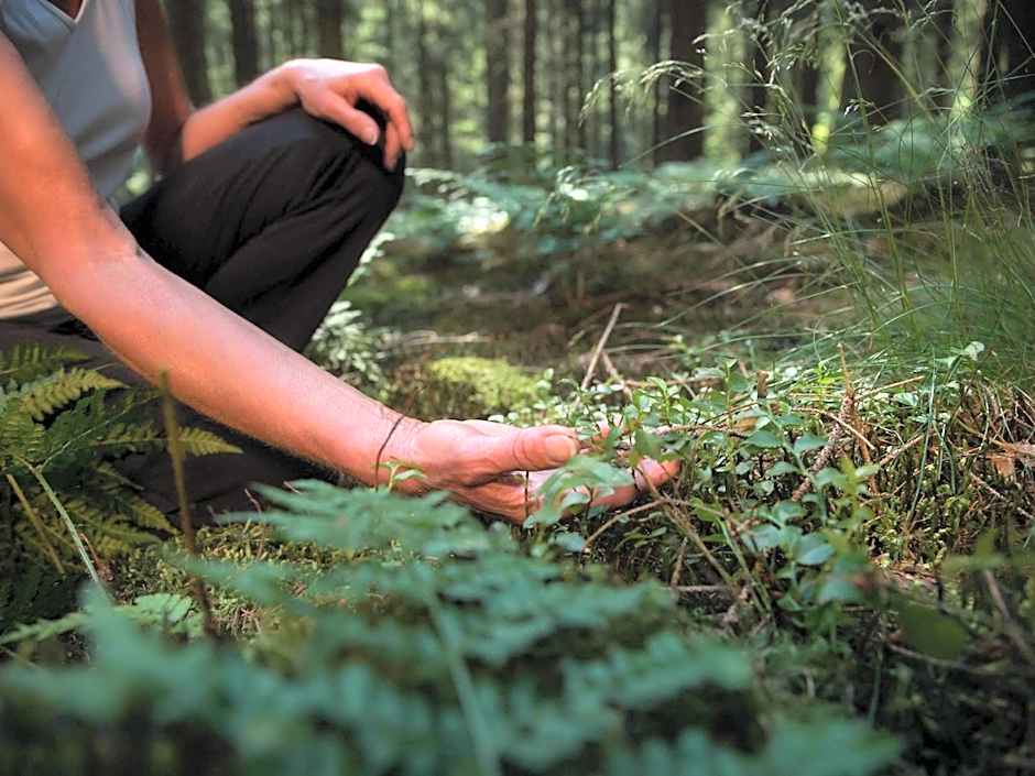 Mercure Aix-les-Bains Domaine de Marlioz