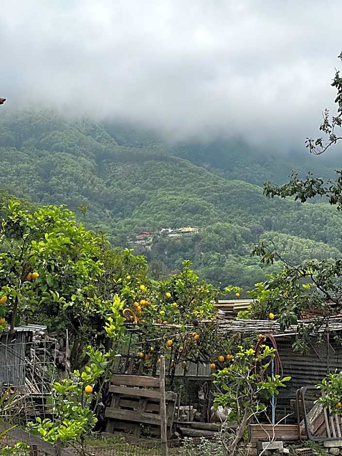 Hotel Villa Fiorentina