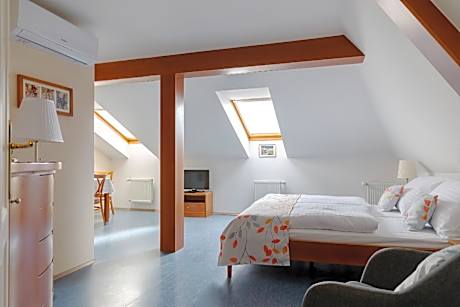 Rooftop 1-Bedroom Apartment