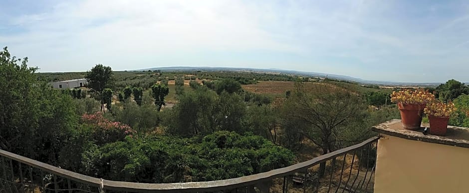 Terme e relax nella campagna viterbese