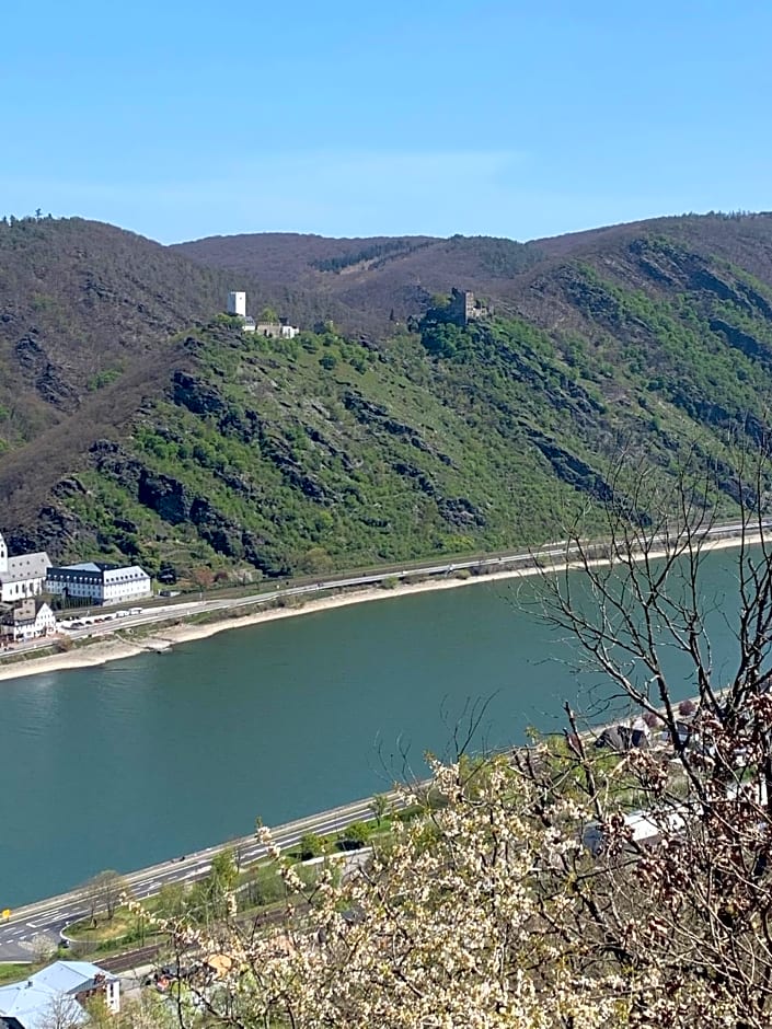 Idyllisches Zimmer in ruhiger Lage Boppard am Rhein