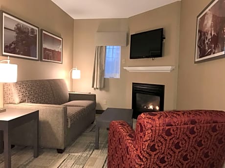 Suite-1 King Bed, Non-Smoking, Superior Room, Jetted Tub, Fireplace, Sofabed, Mini Fridge, Continent