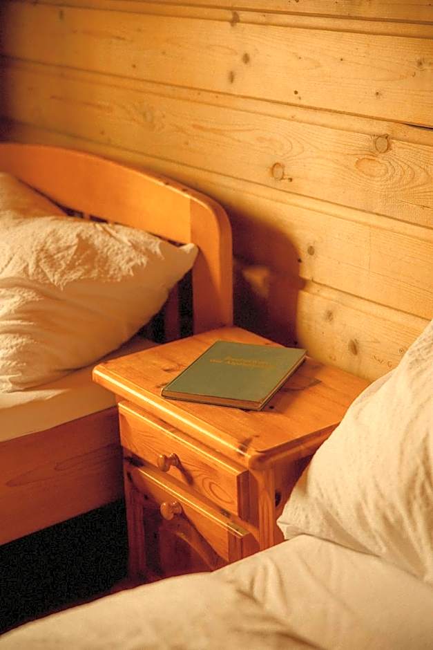 Gjaid-Alm 1739m am Dachstein-Only Accessible by Cable Car