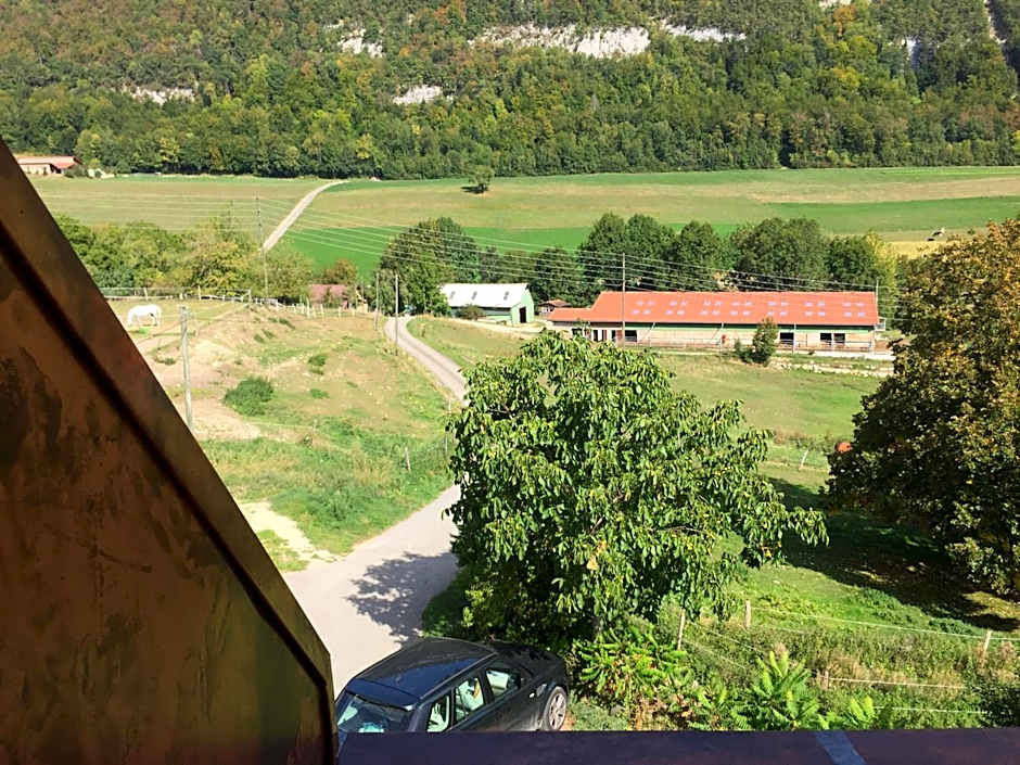 Chez Dodo 2534 Orvin Le Foncet