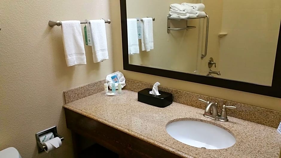 Comfort Inn & Suites Lakeside