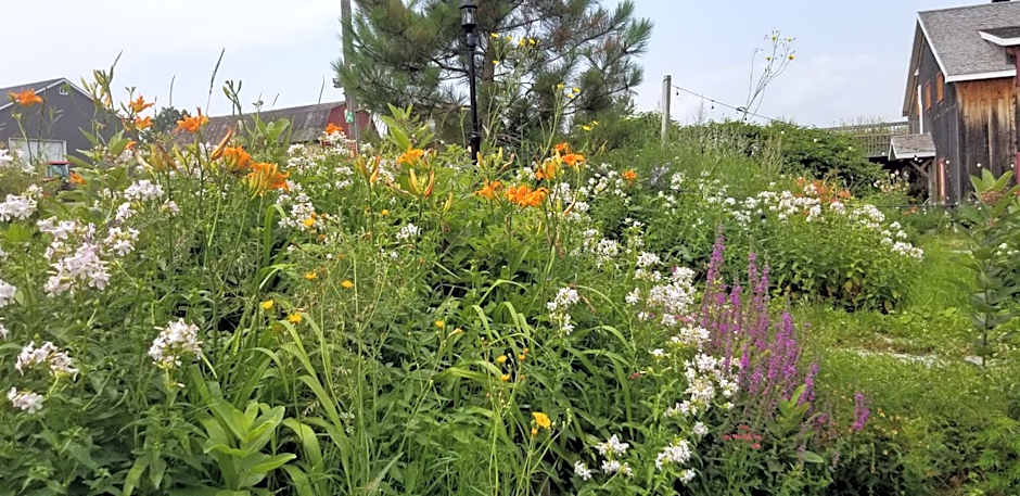 Auberge Le P'tit Bonheur