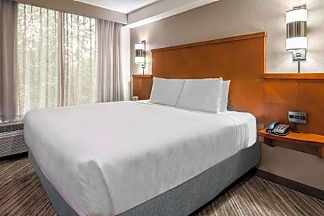 King Room with Sofa Bed