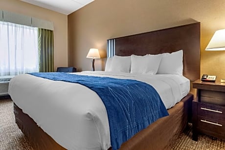 1 King Bed Nonsmoking