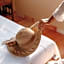 Casa Ceiba Huatulco - Adults Only
