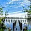 EuroParcs Het Amsterdamse Bos