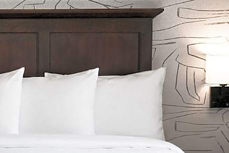 Two-Bedroom Suite and 4 Waterpark Passes