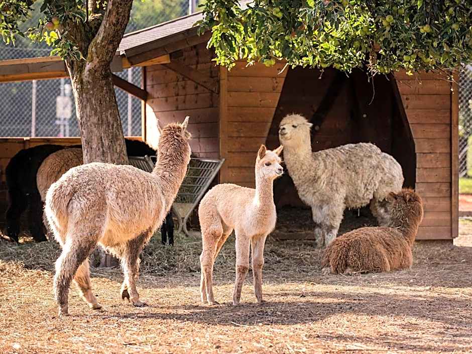 Familiengut Hotel Burgstaller