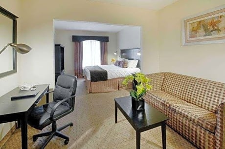 Suite-1 King Bed, Mobility Accessible, Roll In Shower, Sofabed, Non-Smoking, Continental Breakfast