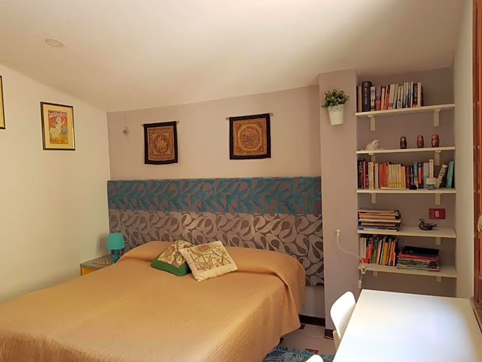 B&B Cactus