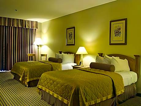 Suite Double Bed