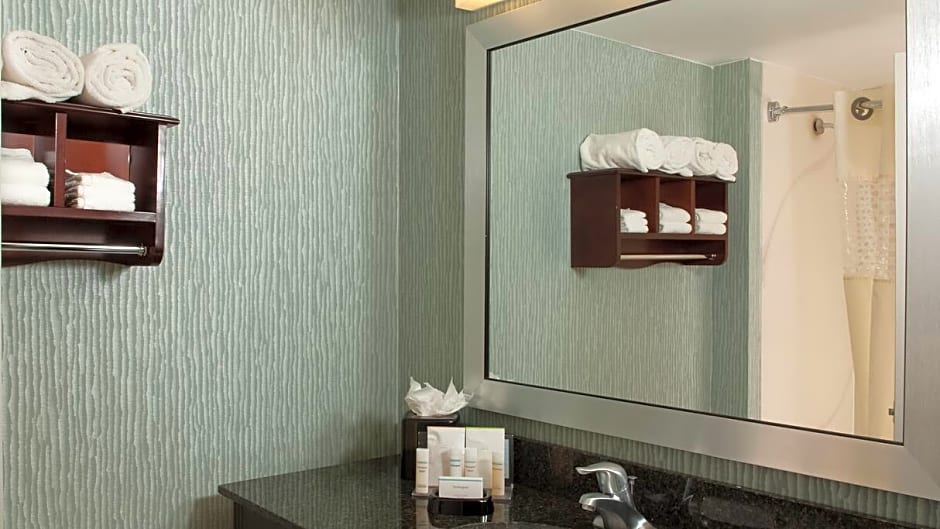 Hampton Inn By Hilton Atlanta-North Druid Hills