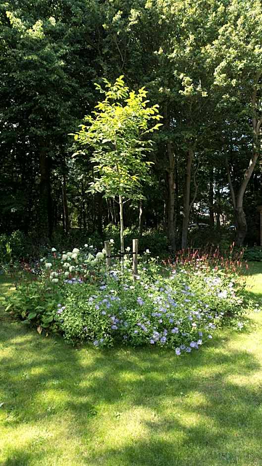 Appartement Zuiderstrand