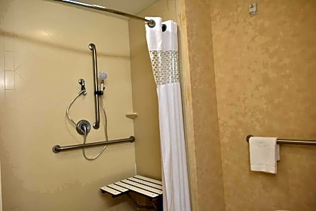 2 Queen Accessible Roll In Shower Non-Smoking