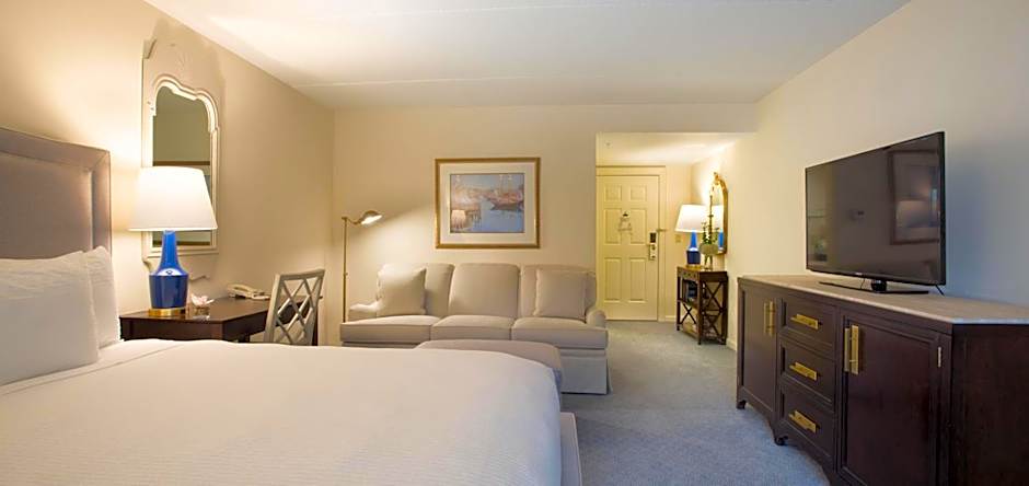 Photo 1 of 4 of Deluxe 1 King Bed with Sofabed