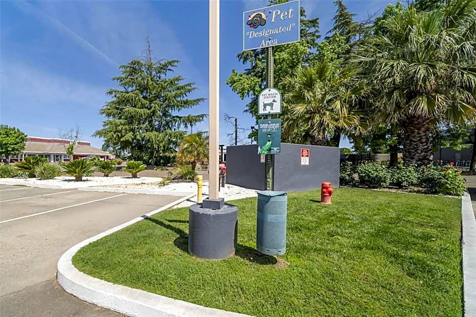 Best Western Antelope Inn