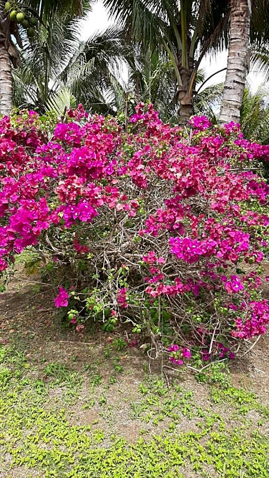 Domaine des Oiseaux Réunion