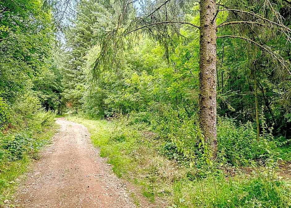 Hornbeam Country Park