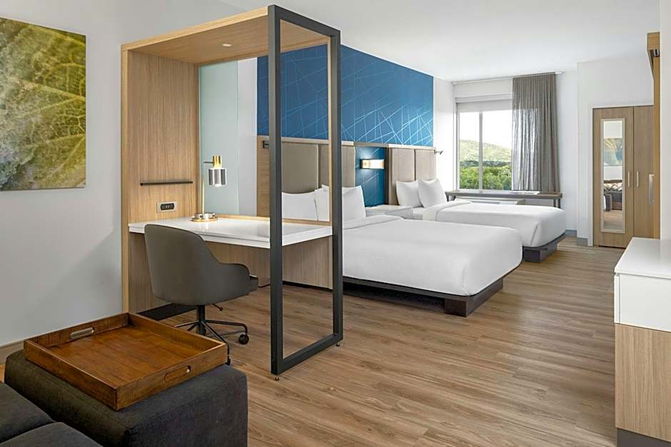 SpringHill Suites by Marriott Roanoke North