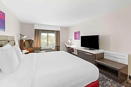 1 King Premium W/In-Room Drinks-Snacks