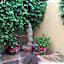 Red Moon Lodge