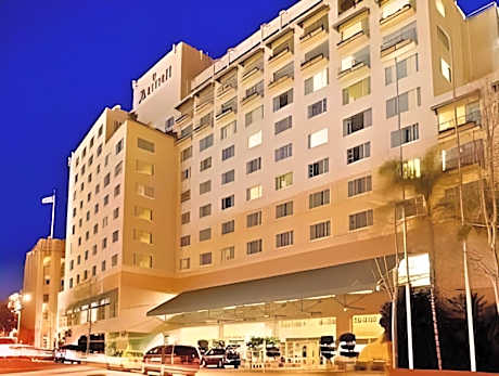 1 Bedroom Executive Suite, 1 King