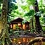 Cape Tribulation Beach House