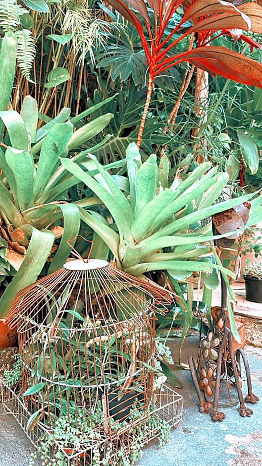 Village Potira - The Guest House