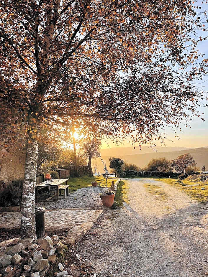 Mountain Log Cabin O Lobo