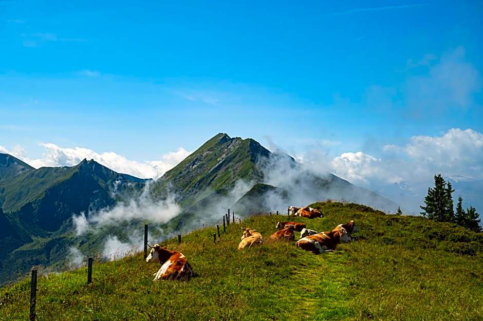 Hotel Gratz Großarl