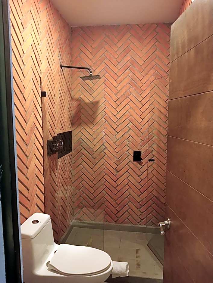 Esplendor by Wyndham San Luis Potosi Monarca