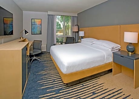 1 Queen Bed Deluxe Mobility Accessible Room Non-Smoking