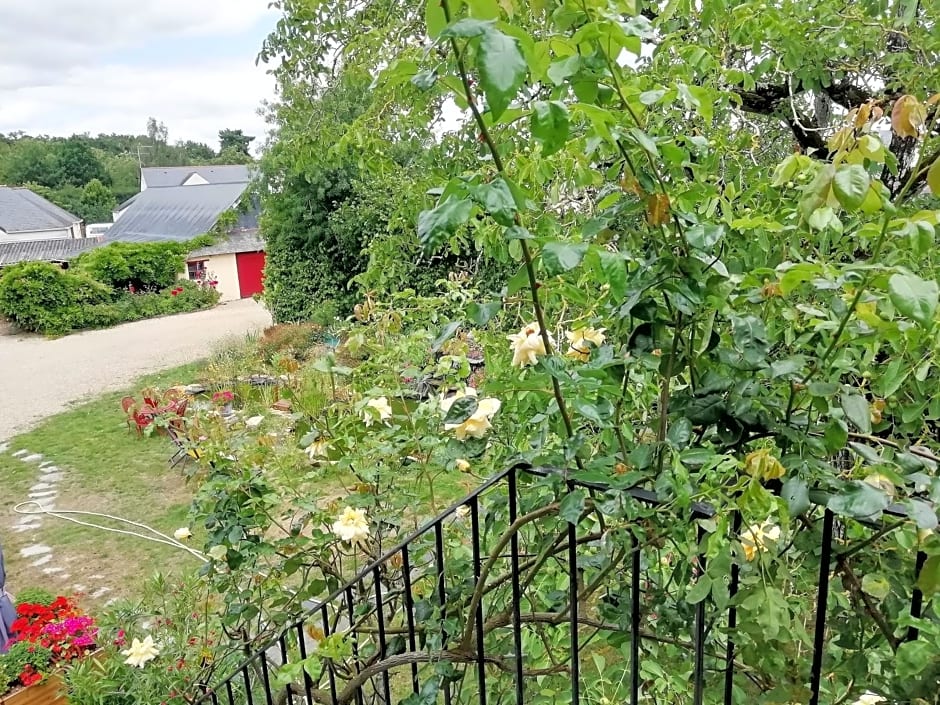 Chambres d'Hotes du Haut Anjou