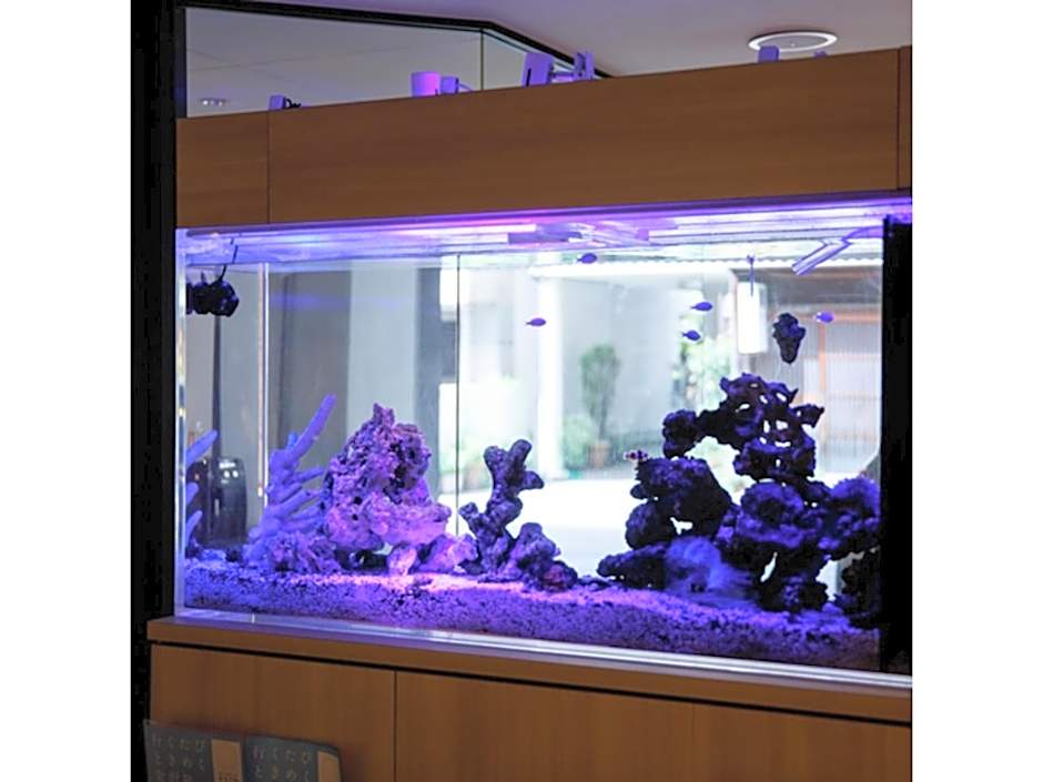 Kanazawa Station Hotel - Vacation STAY 36375v