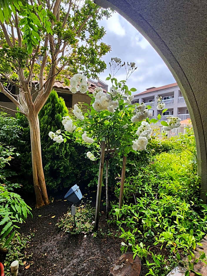 La Quinta Inn & Suites by Wyndham San Francisco Airport West