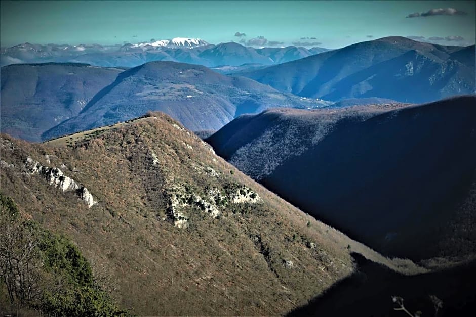 Da Franca
