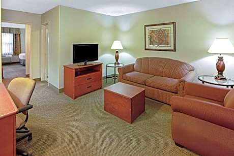 1 King Bed, Deluxe one Bedroom Suite, Non-Smoking