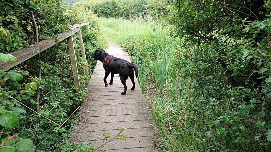 Norfolk Accommodation