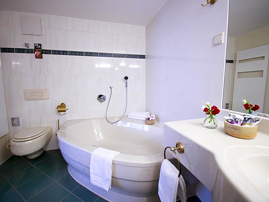 Mercure Hotel Riesa Dresden Elbland