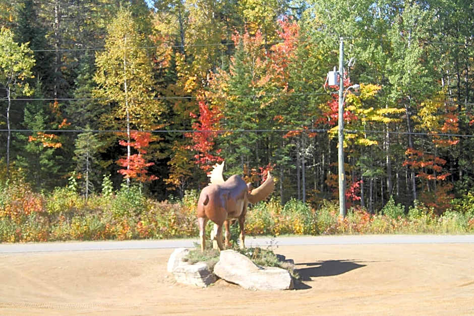 L'Auberge Refuge du Trappeur