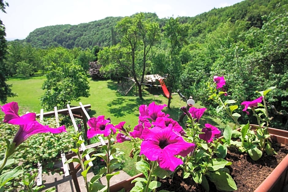 Na Okić - a private forest oasis