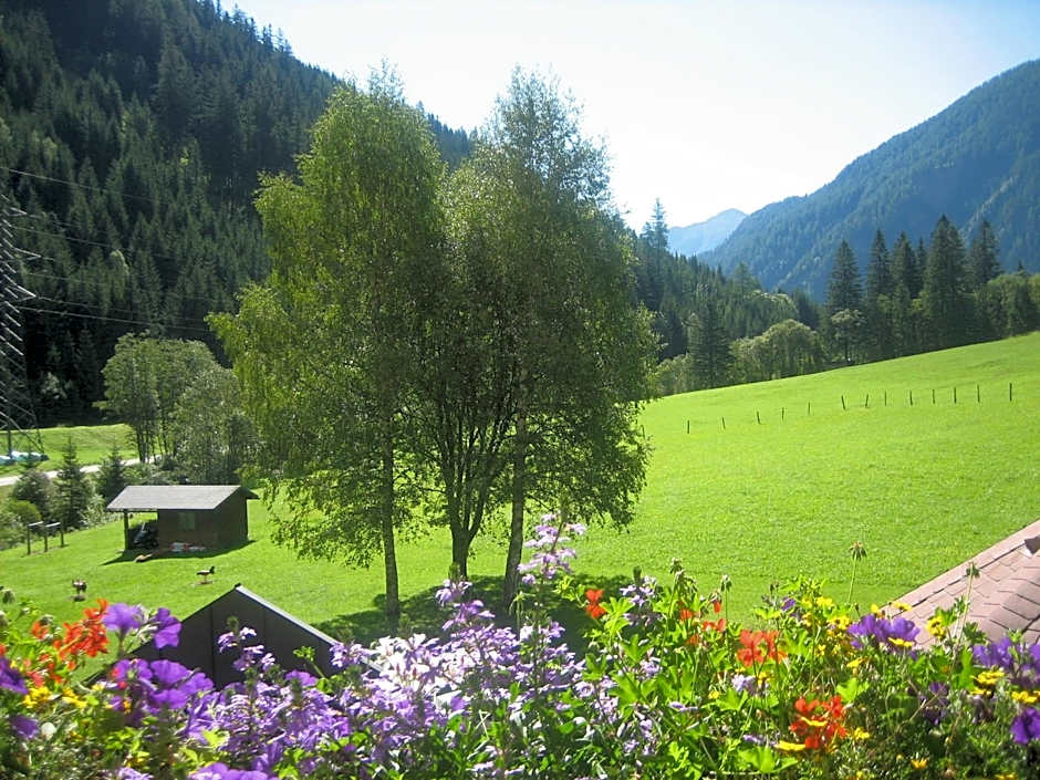 Alpenhotel Badmeister