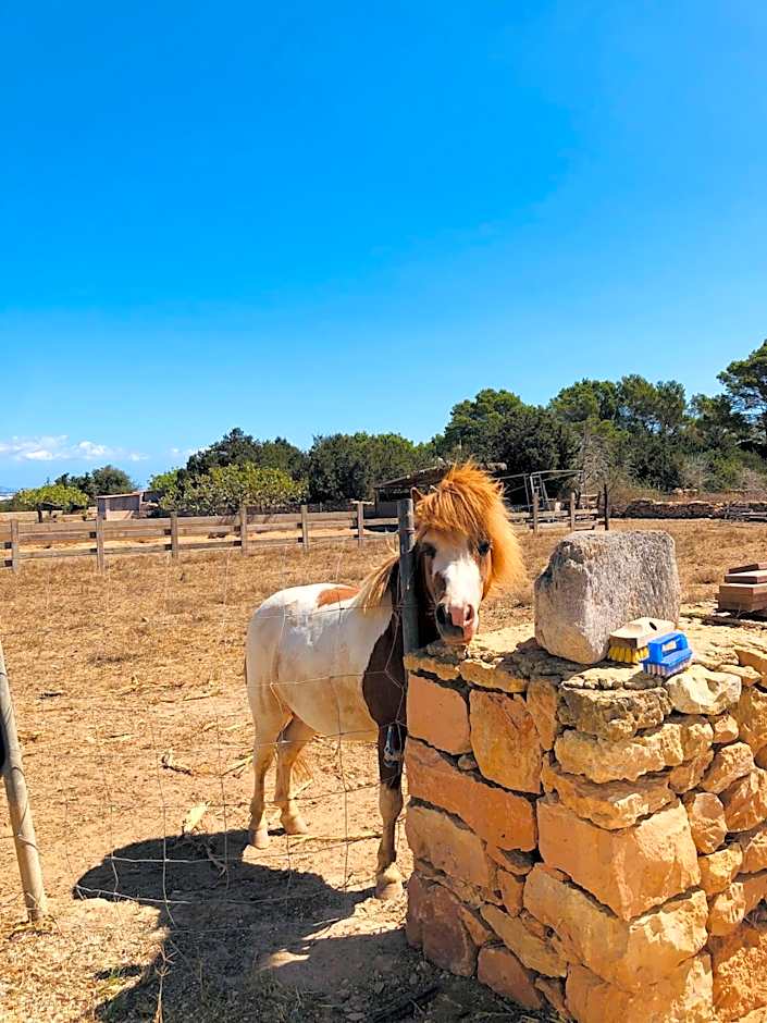 Apartamentos Vista Vedrá