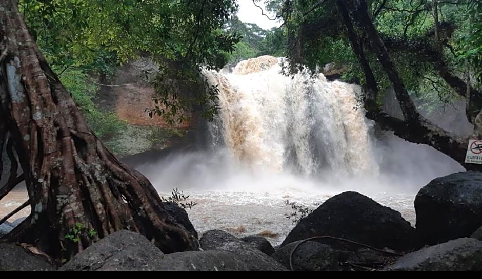 Pakchong hostel & wildlife tour