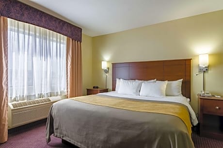 1 King Bed, Suite, Nonsmoking