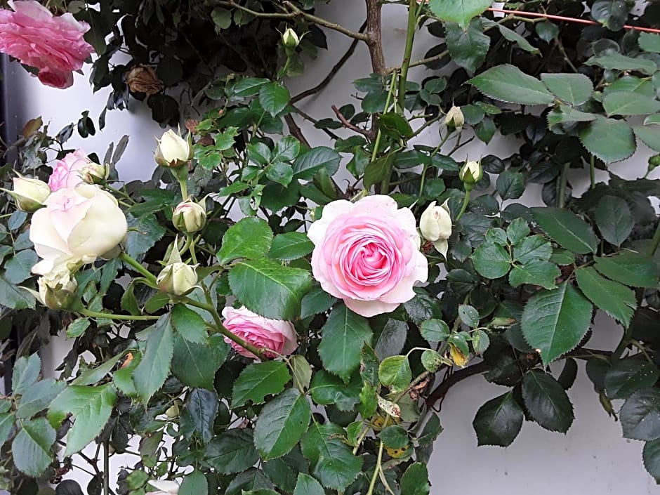 Au Moulin de Valérie